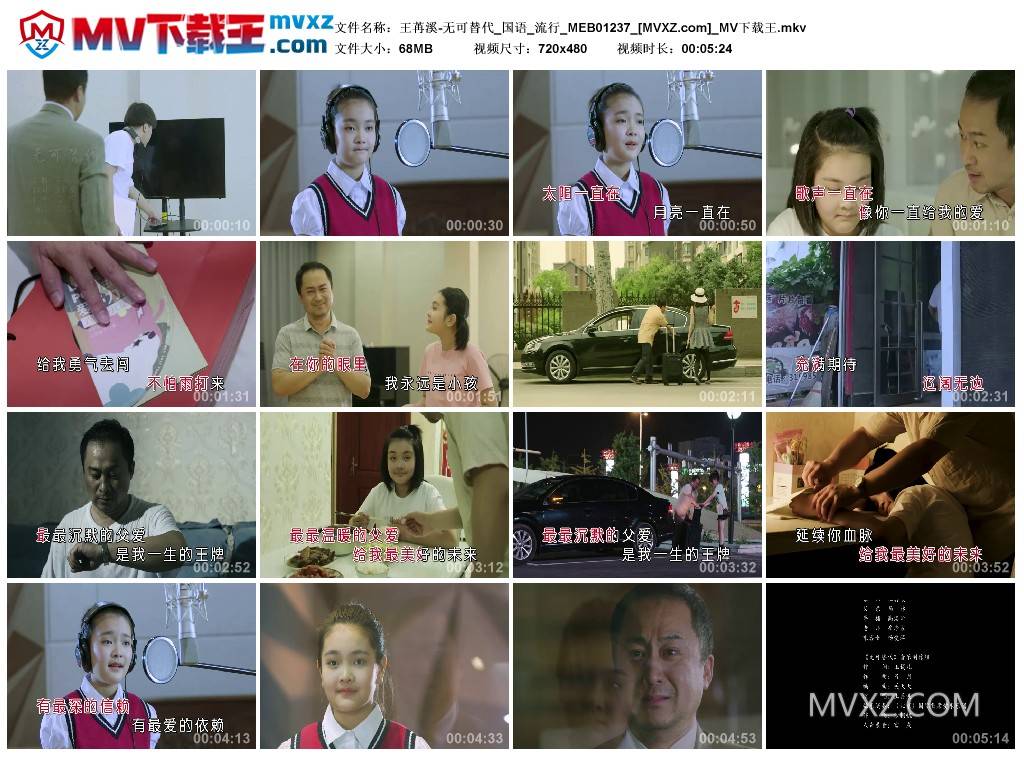 王苒溪-无可替代_国语_流行_MEB01237